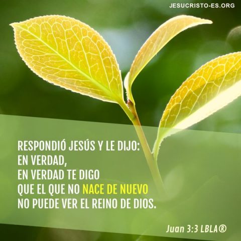 Imagen de la biblia