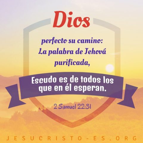 Imagen de la biblia