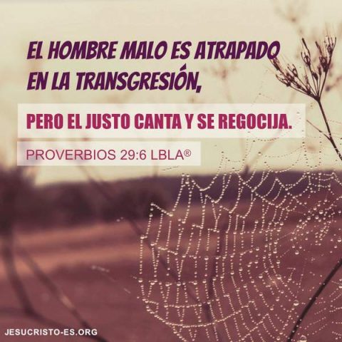 Imagen de la biblia