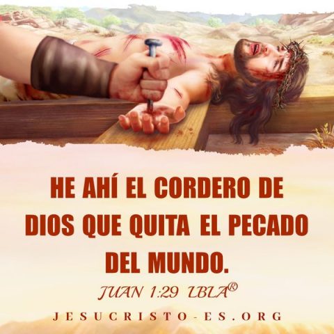 Versículos de la Biblia – Juan 1:29