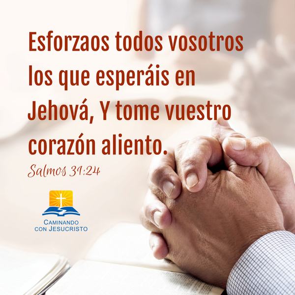 El significado de la oración