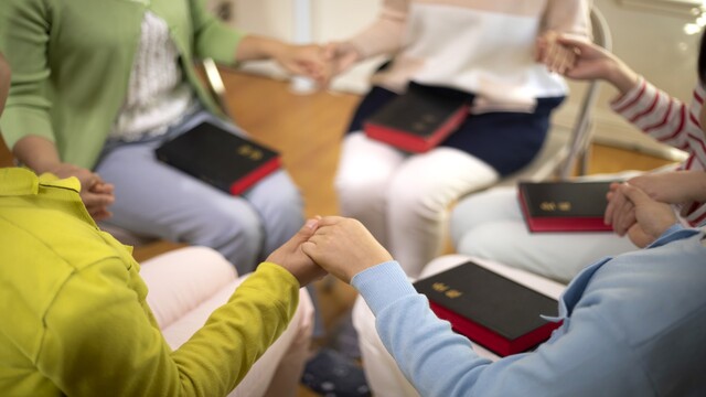 Compañerismo cristiano