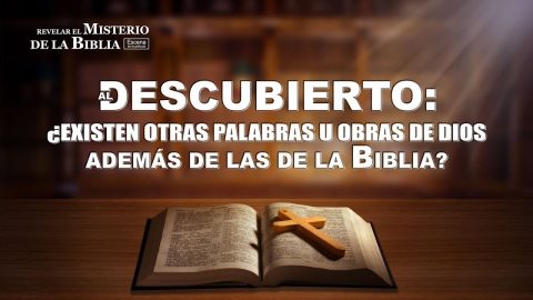 Tuve una nueva comprensión de la Biblia