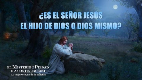 ¿Cristo encarnado es el Hijo de Dios o Dios mismo?