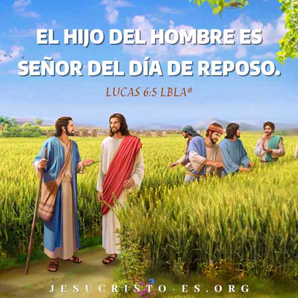 discípulo de Jesús