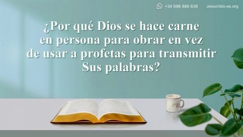 Libro Abierto De La Sagrada Biblia