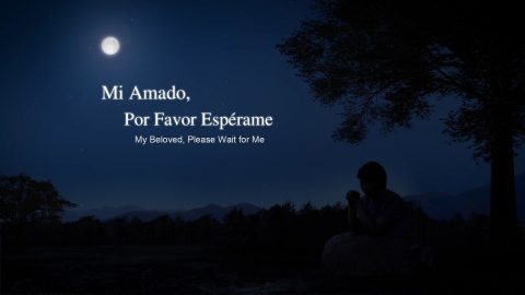 Música cristiana | Mi amado, por favor espérame【MV】