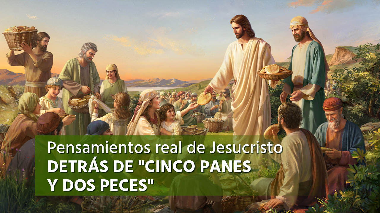 Cinco Panes Y Dos Peces Jesed