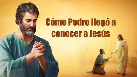 Cómo Pedro llegó a conocer a Jesús
